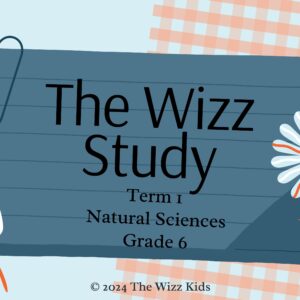 Grade 6 Term 1 Natural Sciences | Digital PDF