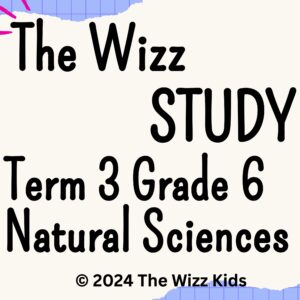 Grade 6 Term 3 Natural Sciences | Digital PDF