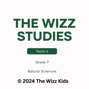 Grade 7 Term 4 Natural Sciences | Digital PDF